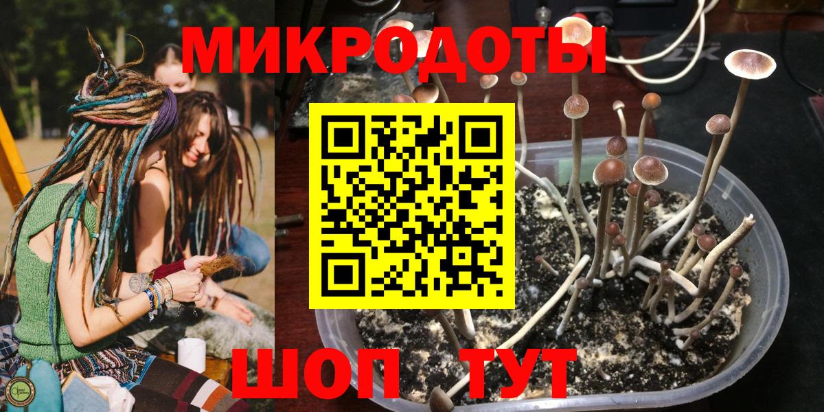 Орск  Галлюциногенные грибы ЛСД  магазин продажи наркотиков  Псилоцибиновые грибы ЛСД  Вход с VPN 